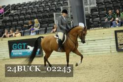 24BUCK_02245 proof