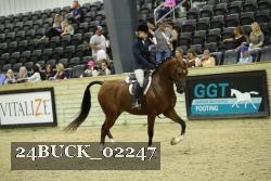24BUCK_02247 proof