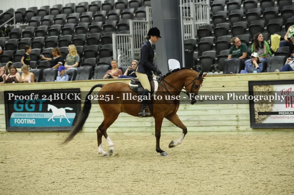 Proof 24BUCK_02251