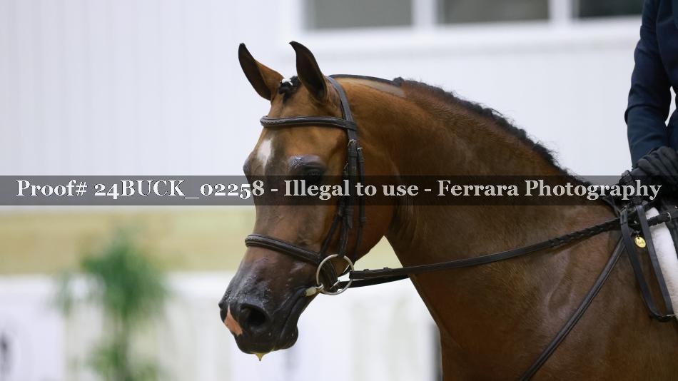 Proof 24BUCK_02258