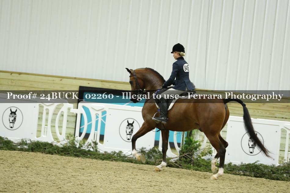 Proof 24BUCK_02260