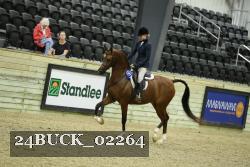 24BUCK_02264 proof