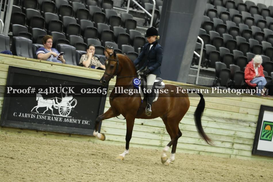 Proof 24BUCK_02265