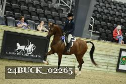 24BUCK_02265 proof