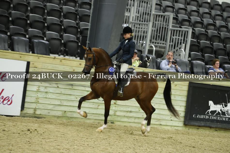 Proof 24BUCK_02267