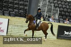 24BUCK_02267 proof