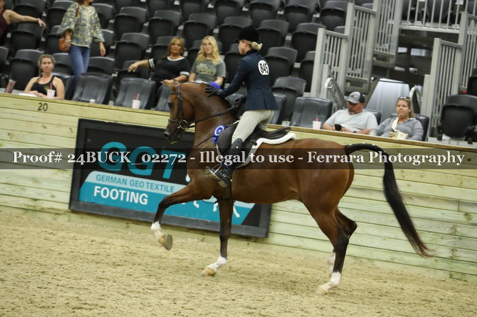 Proof 24BUCK_02272