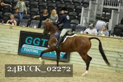 24BUCK_02272 proof