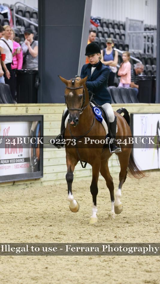 Proof 24BUCK_02273