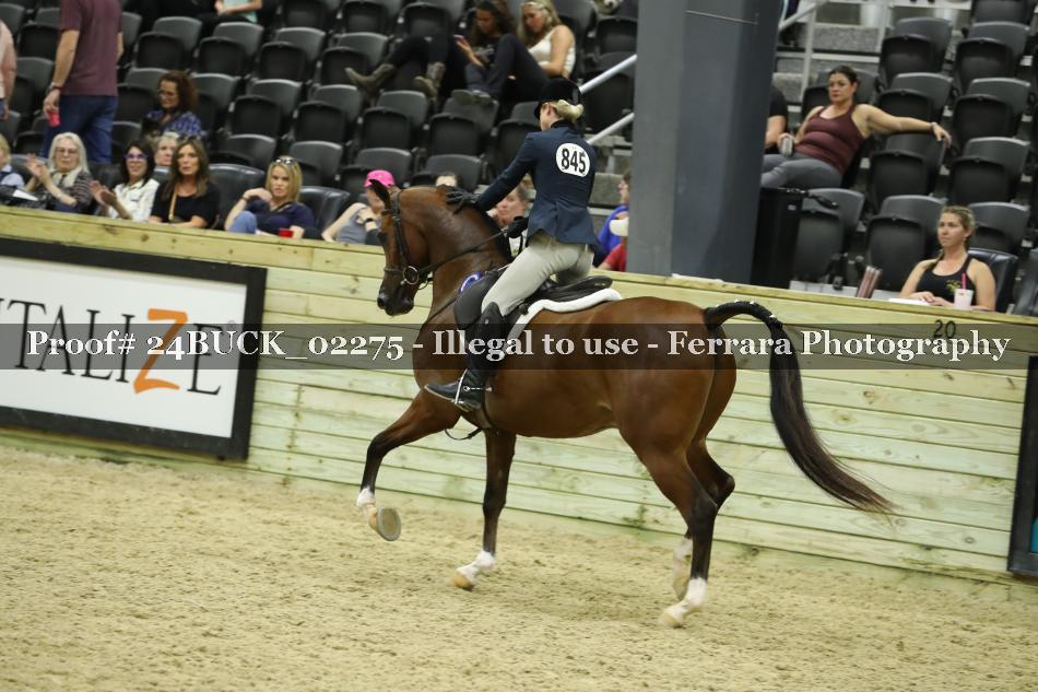 Proof 24BUCK_02275