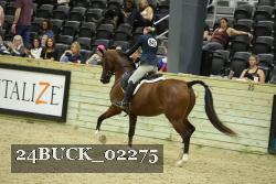 24BUCK_02275 proof