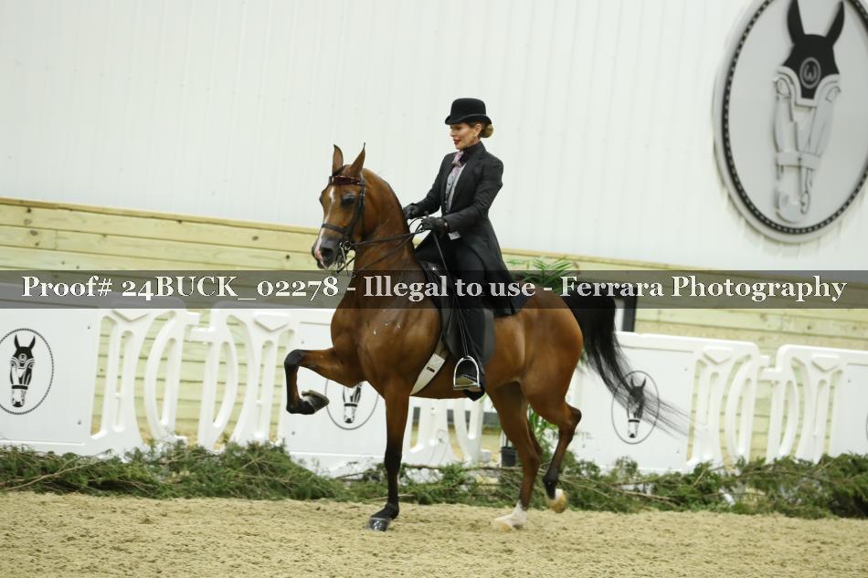 Proof 24BUCK_02278
