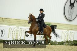 24BUCK_02278 proof