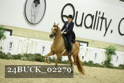 24BUCK_02279 proof