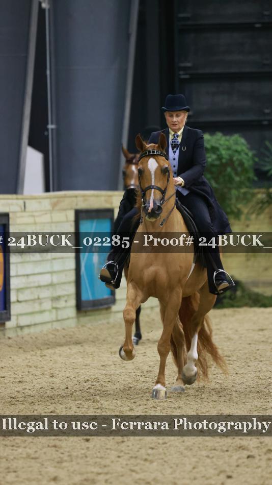 Proof 24BUCK_02285