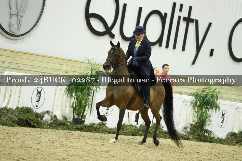 Proof 24BUCK_02287