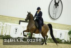 24BUCK_02288 proof