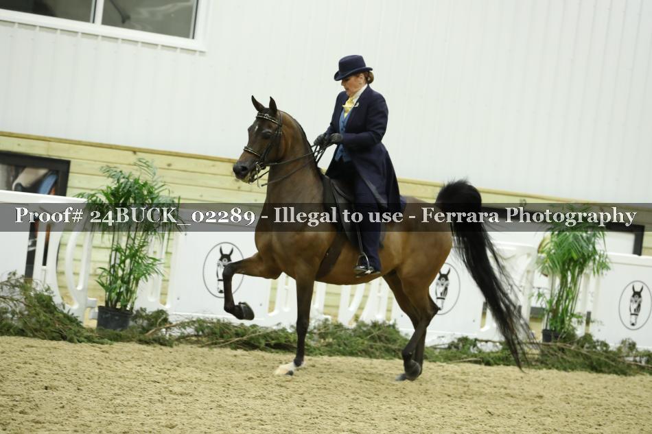 Proof 24BUCK_02289