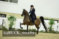 24BUCK_02289 proof