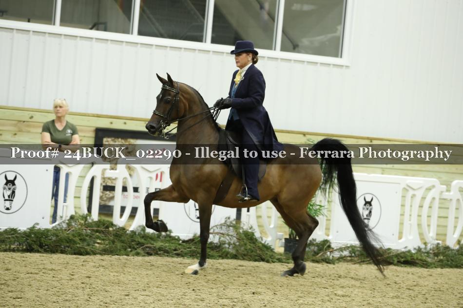 Proof 24BUCK_02290