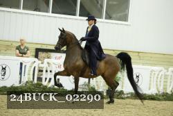 24BUCK_02290 proof