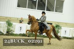 24BUCK_02291 proof