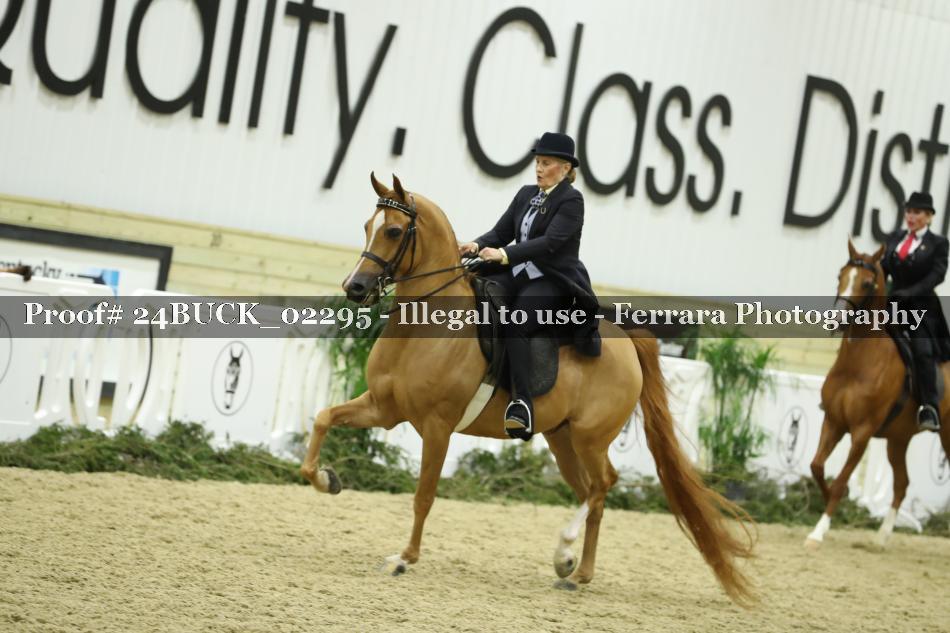 Proof 24BUCK_02295