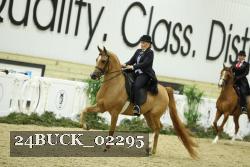 24BUCK_02295 proof