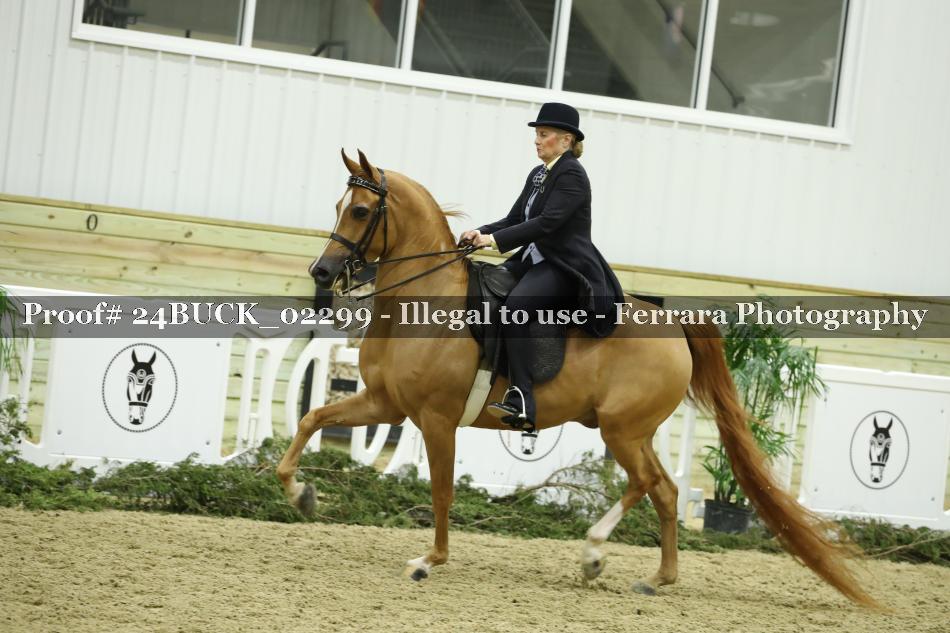 Proof 24BUCK_02299