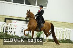 24BUCK_02301 proof
