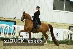 24BUCK_02302 proof