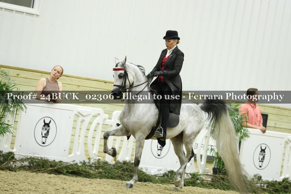 Proof 24BUCK_02306