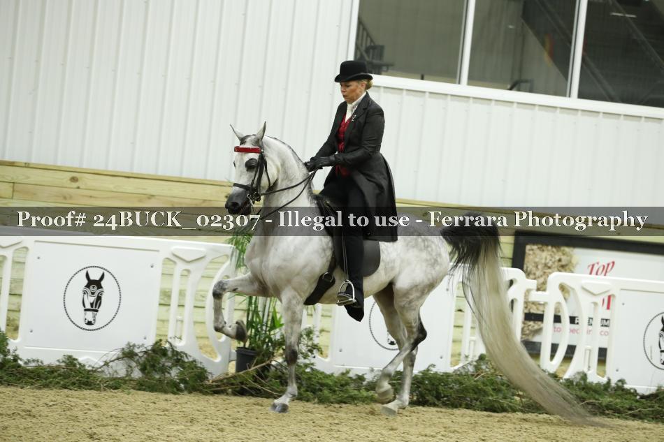 Proof 24BUCK_02307