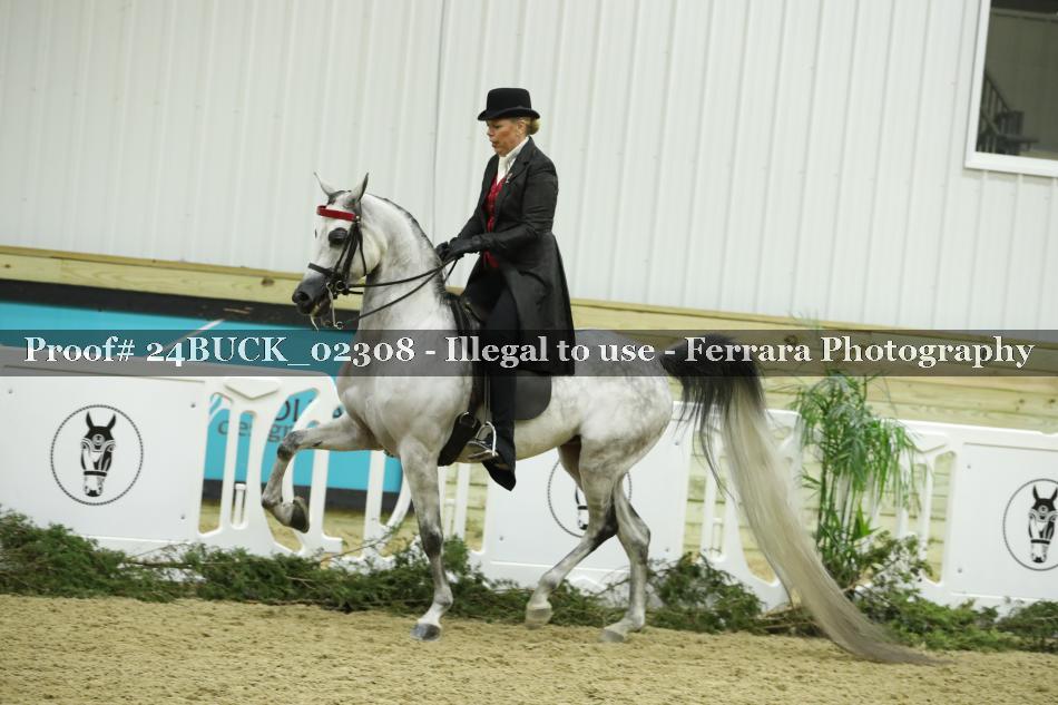 Proof 24BUCK_02308