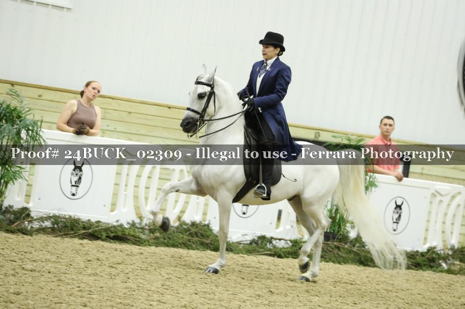 Proof 24BUCK_02309