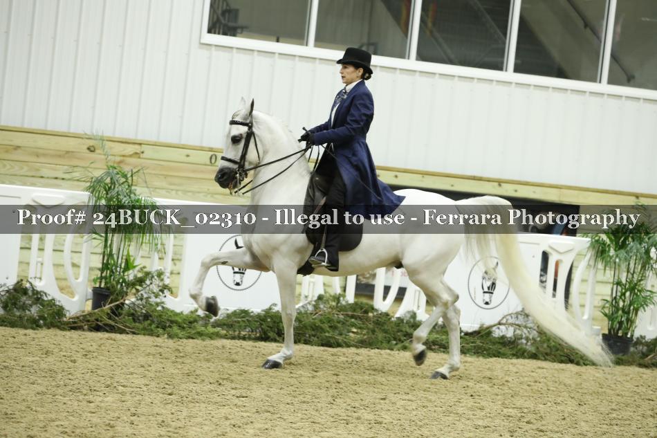 Proof 24BUCK_02310
