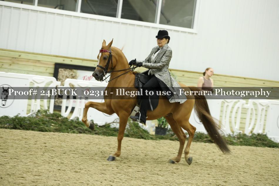 Proof 24BUCK_02311