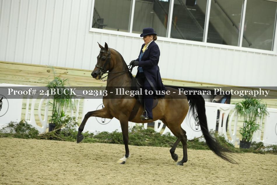 Proof 24BUCK_02313