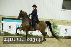 24BUCK_02314 proof