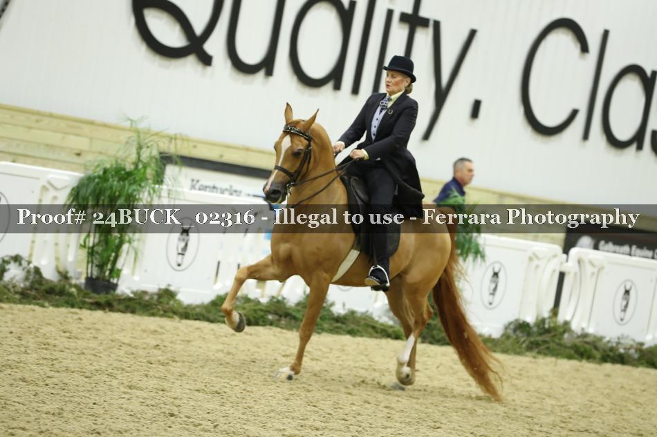 Proof 24BUCK_02316