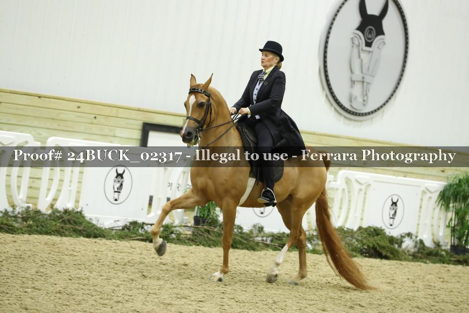 Proof 24BUCK_02317