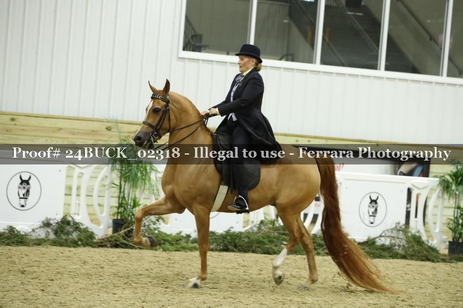 Proof 24BUCK_02318