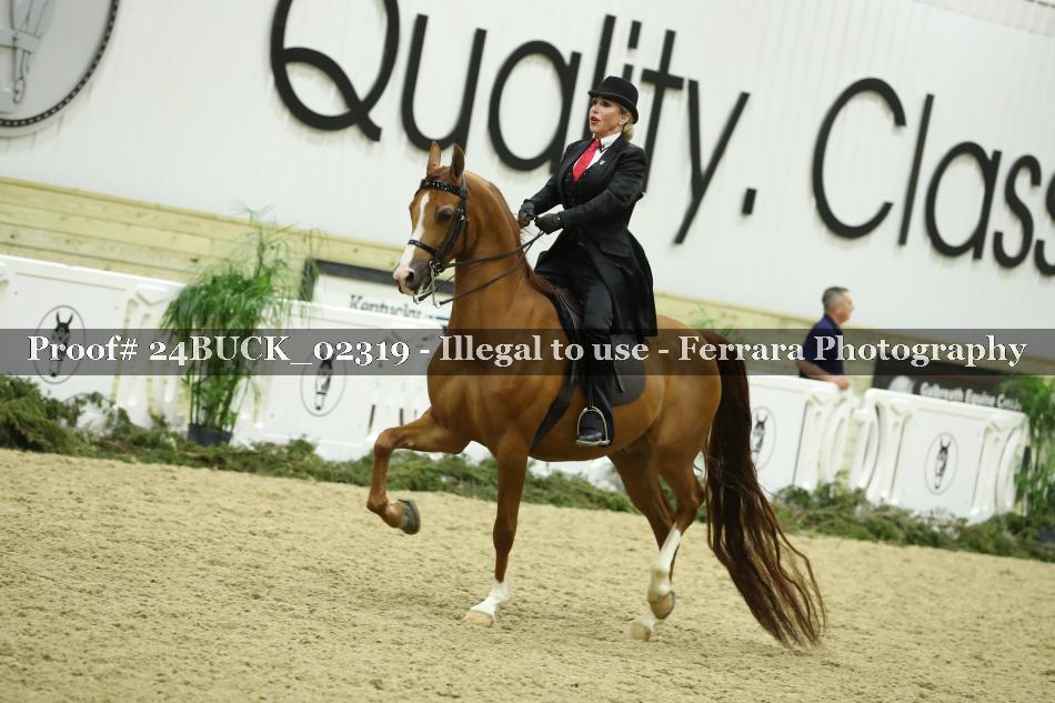 Proof 24BUCK_02319