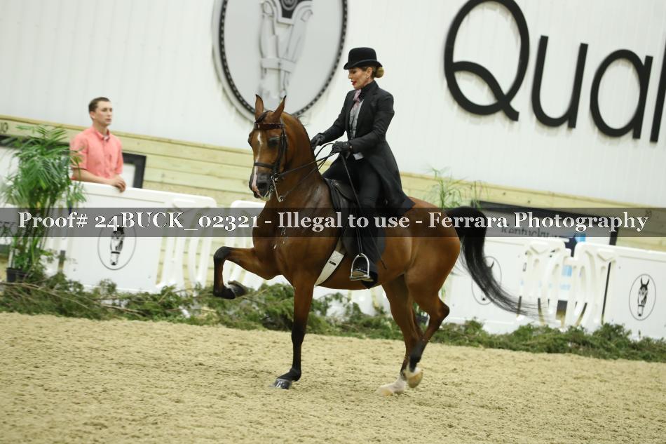 Proof 24BUCK_02321