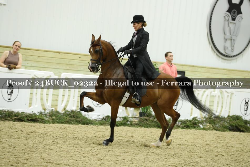 Proof 24BUCK_02322