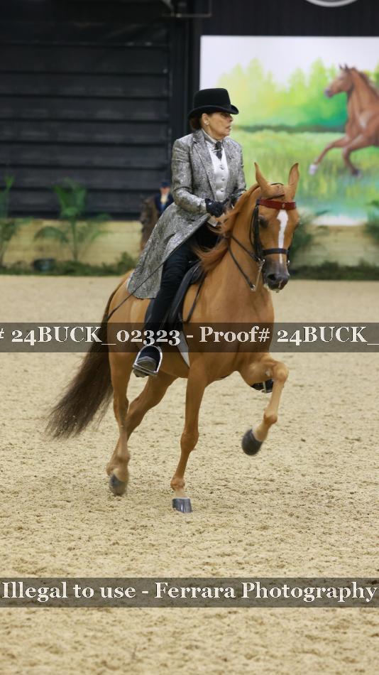 Proof 24BUCK_02323