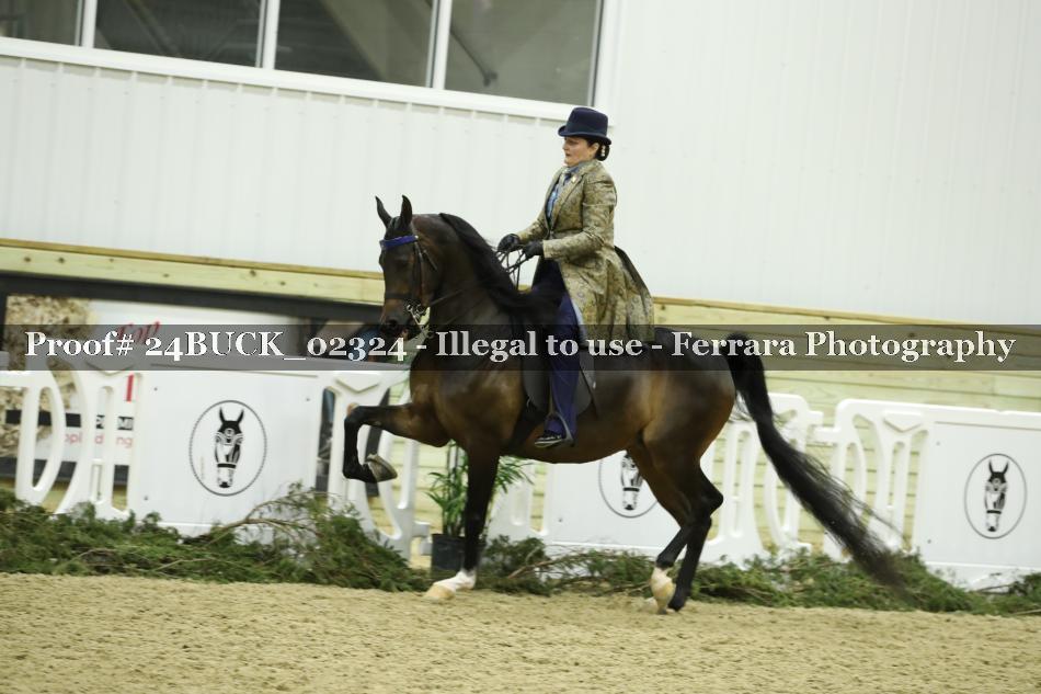Proof 24BUCK_02324