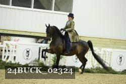 24BUCK_02324 proof