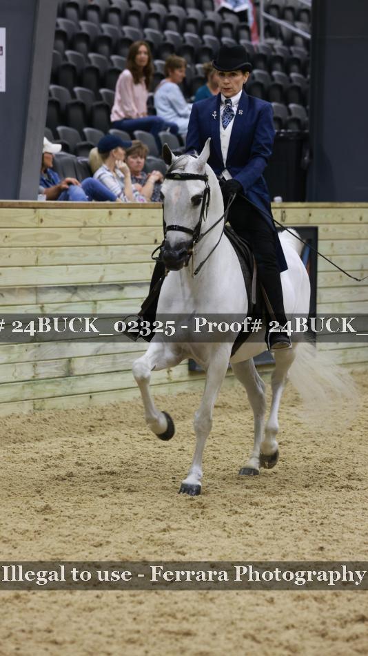 Proof 24BUCK_02325