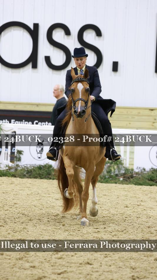 Proof 24BUCK_02328